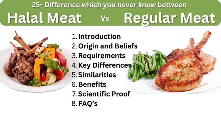 25 Key Differences Between Halal and Regular Meat: An In-depth Comparison