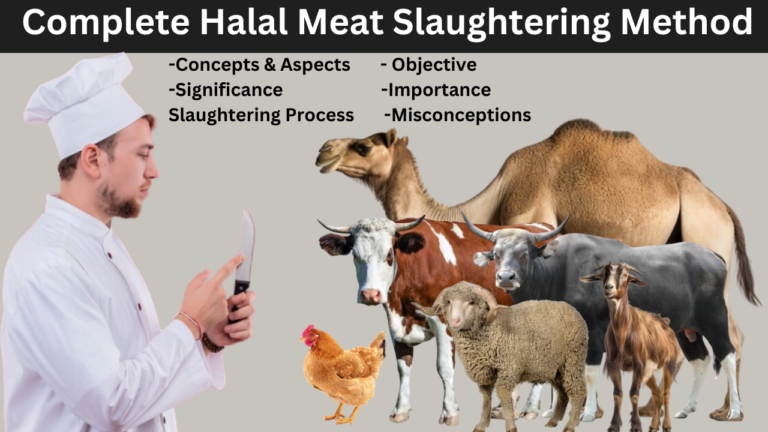 The Halal Slaughtering Process: Ensuring Ethical and Halal Meat