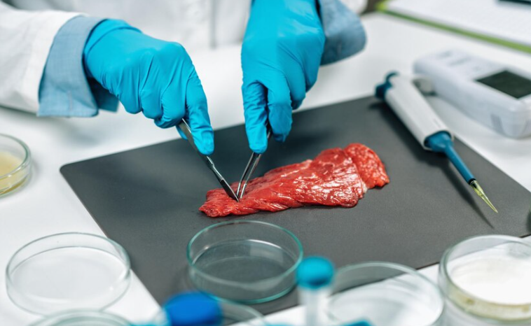 Scientific Aspects of Halal Meat