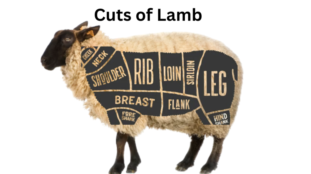 Lean Lamb, Nutritional Value and Protein Levels: