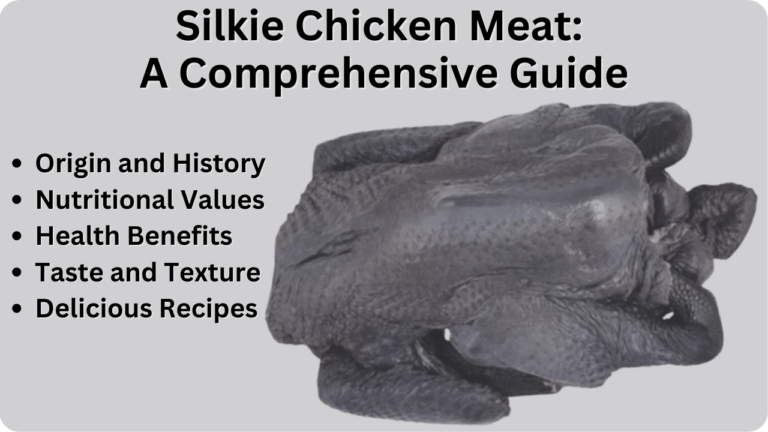 Silkie Chicken Meat: Exquisite Taste and Culinary Delight