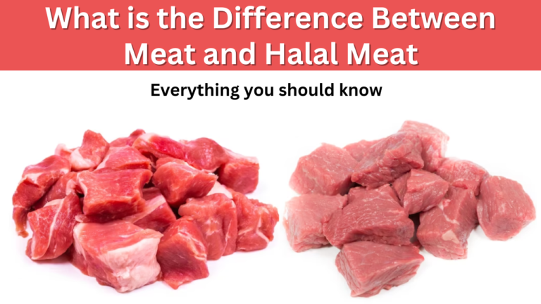 What is the Difference Between Meat and Halal Meat?