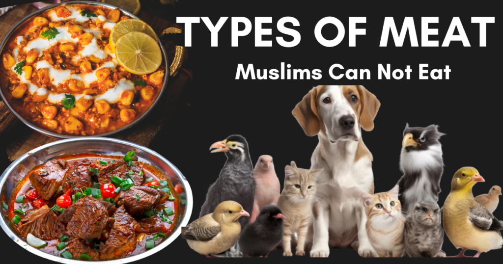types of meat muslim can not eat