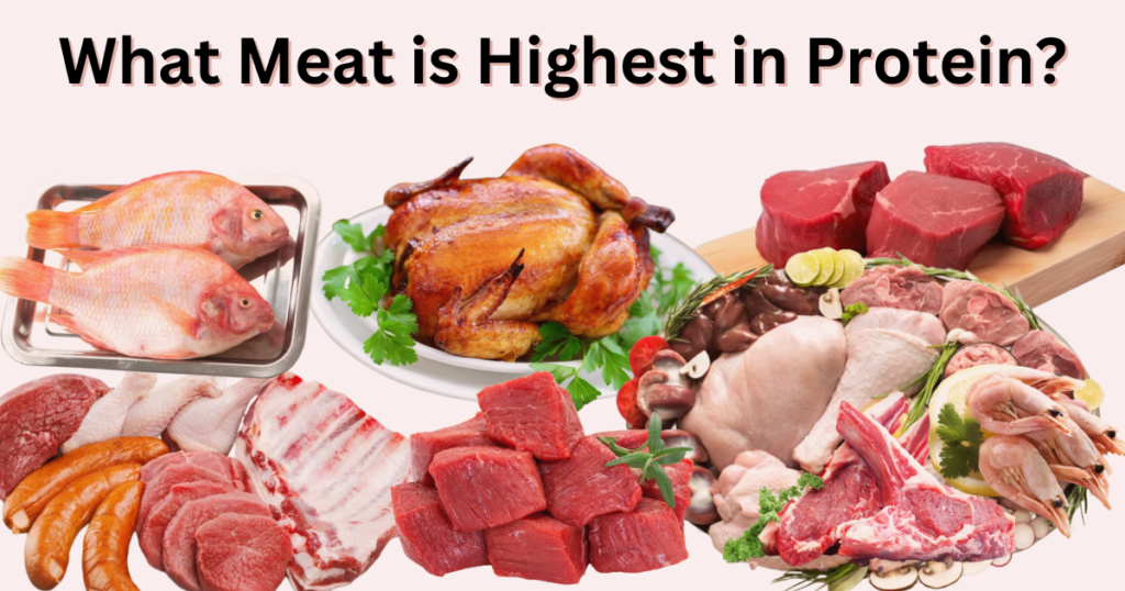 Meat is Highest in Protein