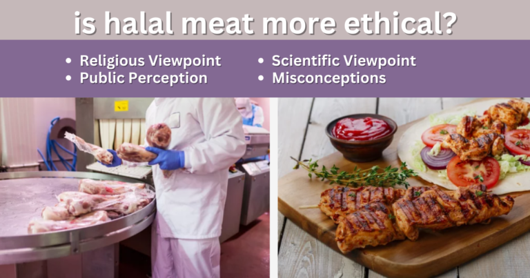 Is Halal Meat More Ethical? Assessing Its Impact on Animal Welfare