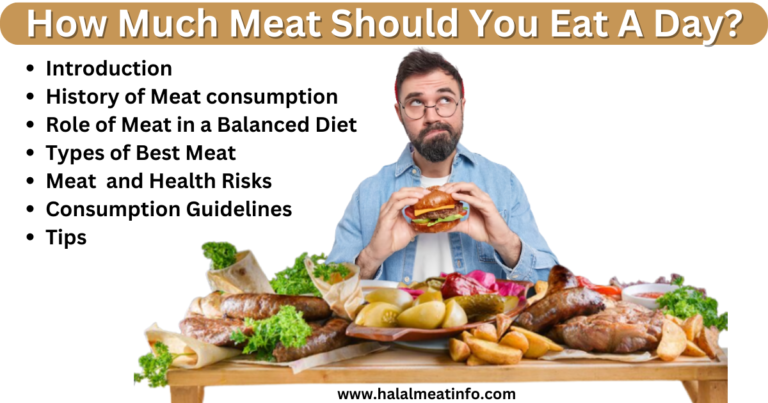 Daily Meat Consumption: The Science Behind Balanced Meal Planning