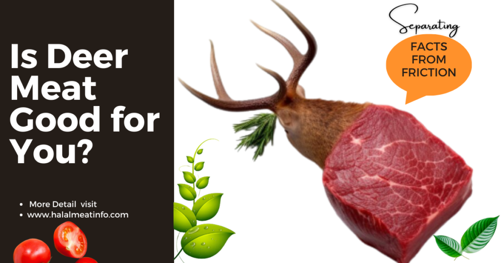 Is Deer Meat Good for You