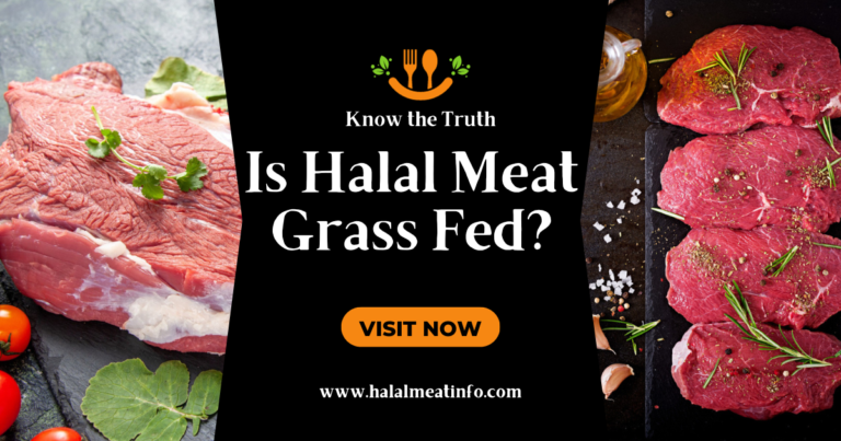 Is Halal Meat Grass-Fed? Understanding the Source of Your Halal Meat
