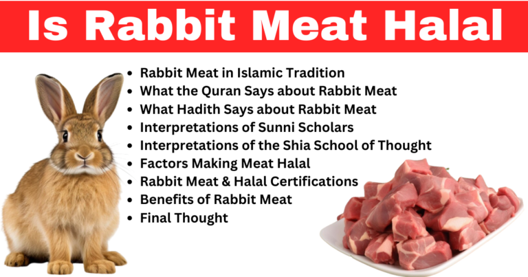 Is Rabbit Meat Halal: Clarifying Common Misconceptions