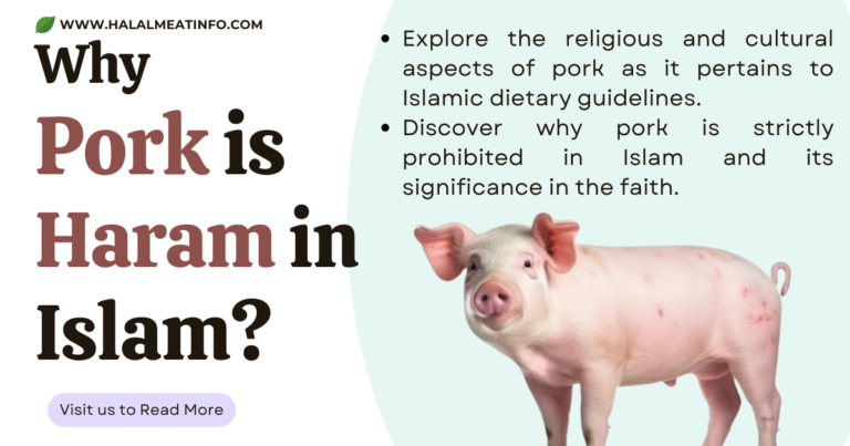 Is Pork Halal? Understanding the Forbidden Meat in Islamic Dietary Laws