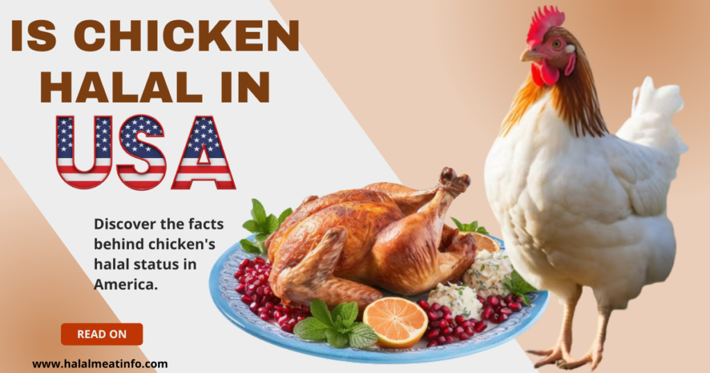 is chicken halal in USA