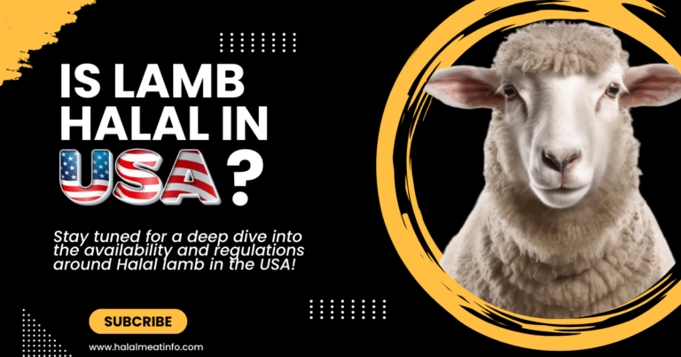 Is Lamb Halal in the USA? Understanding Halal Meat Regulations