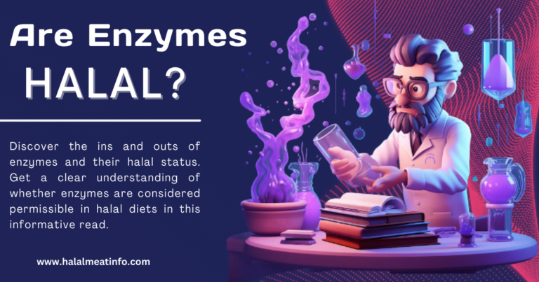 Are Enzymes Halal? Understanding Their Halal Status