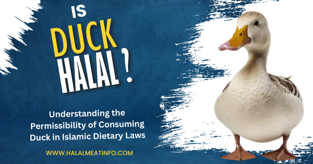 Permissibility of Duck in Islam