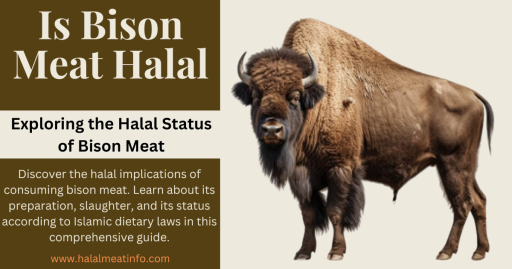 Permissibility of bison in Islam