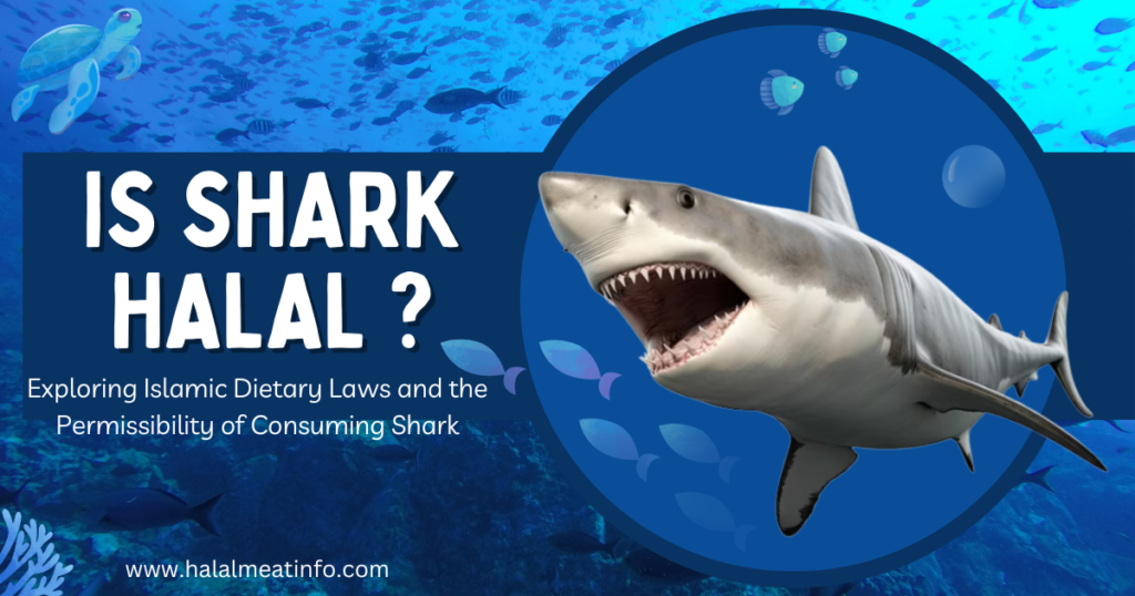 Halal shark meat