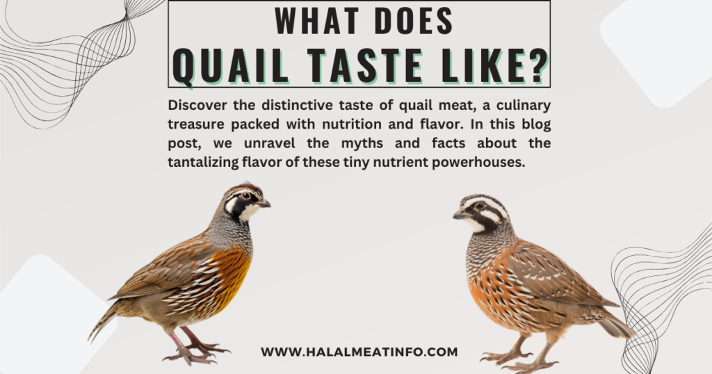 Quail Meat Flavor Analysis