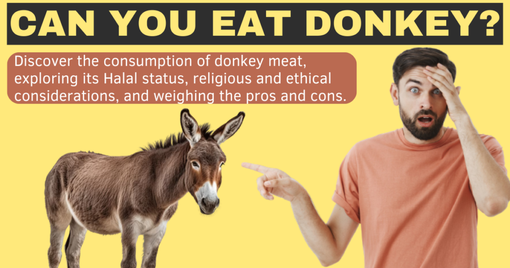 Religious views on donkey meat
