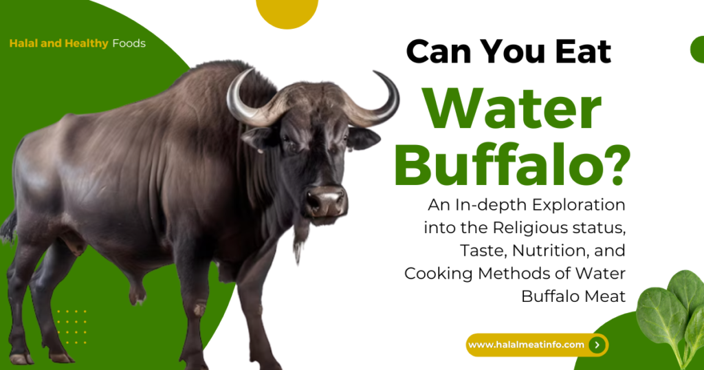 Halal water buffalo meat
