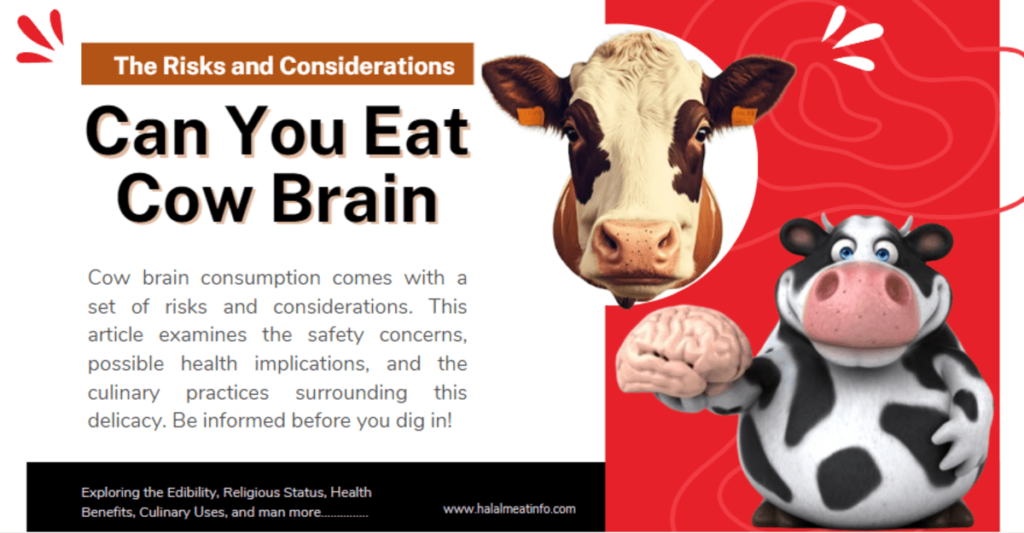 Can You Eat Cow Brain