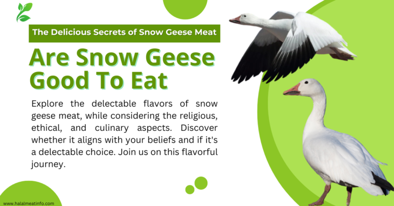 Are Snow Geese Good to Eat? A Wild Food Guide