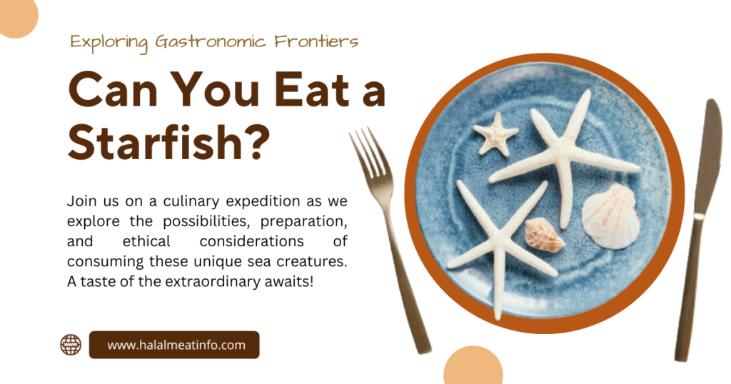 Ethical considerations in consuming starfish