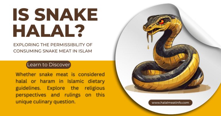 Is Snake Halal? Exploring the Debate and the Islamic Dietary Law