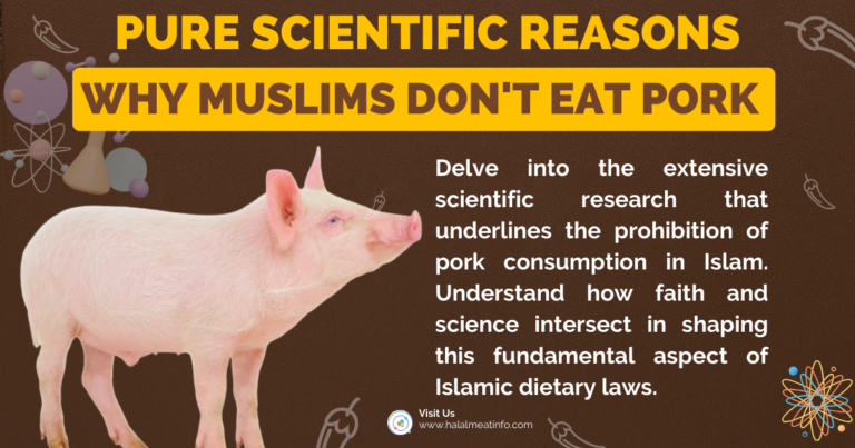Why Muslims Don’t Eat Pork: Pure Scientific Reasons