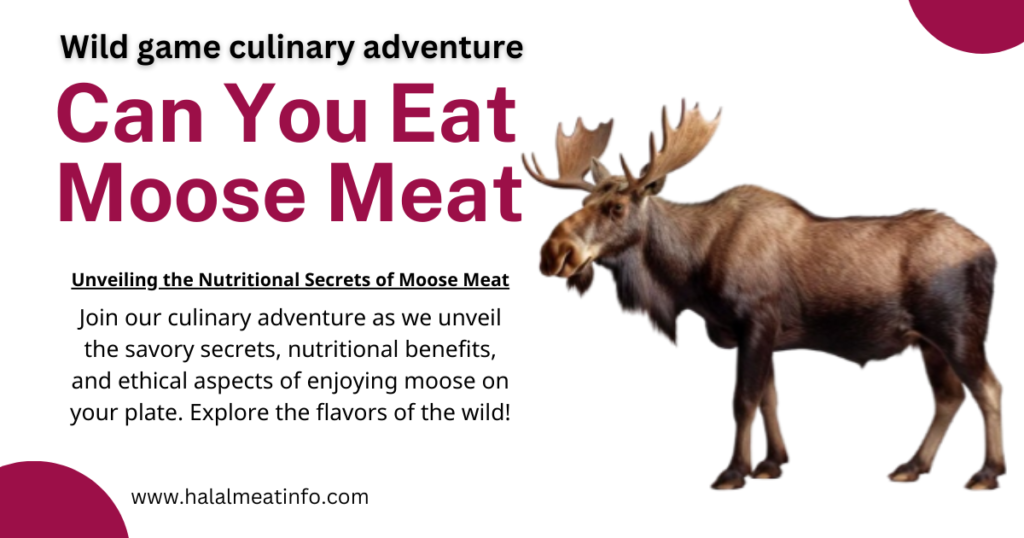 Nutrition in moose meat