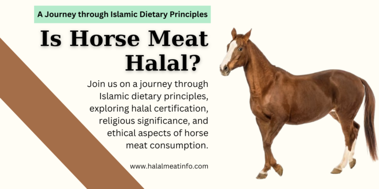 Is horse meat halal?