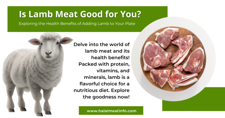 Is Lamb Meat Good For You? A Guide to Health Benefits