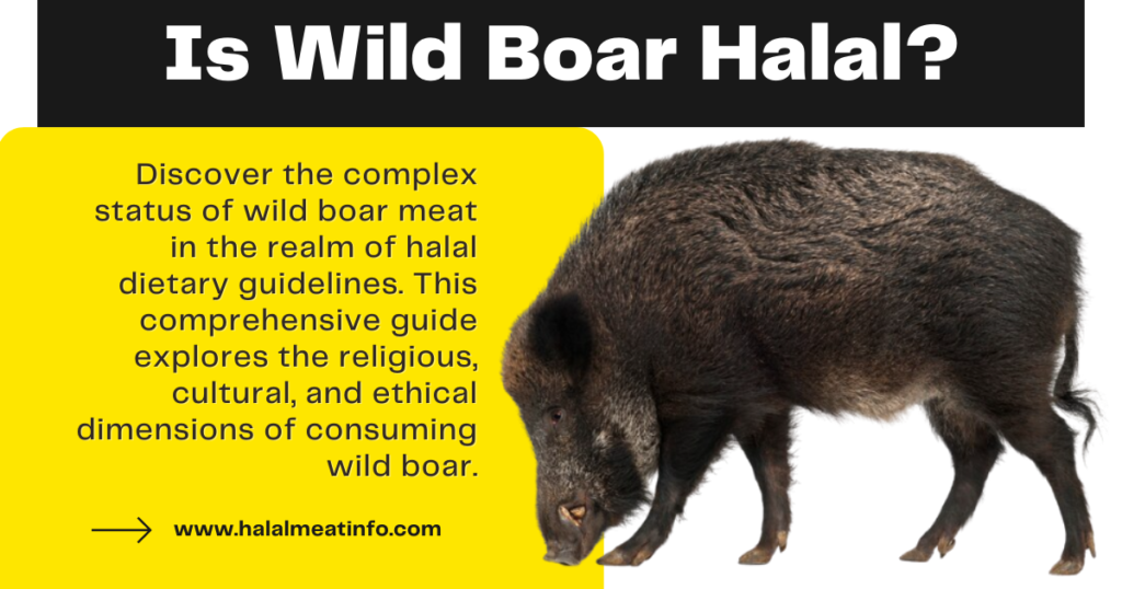 is wild boar halal