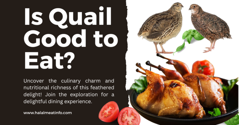 Is Quail Good to Eat? Exploring the Culinary Delights and Health Benefits