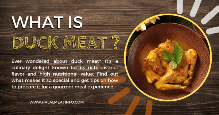 What is Duck Meat: A Culinary Adventure