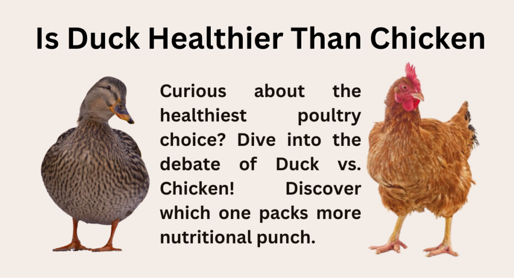 is duck healthier than chicken