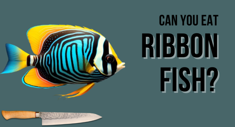Can You Eat Ribbon Fish?